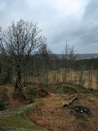 Bare trees on landscape against cloudy sky