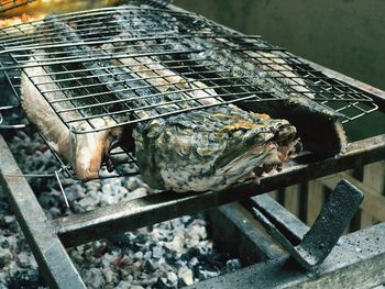 Close-up of crab on barbecue grill