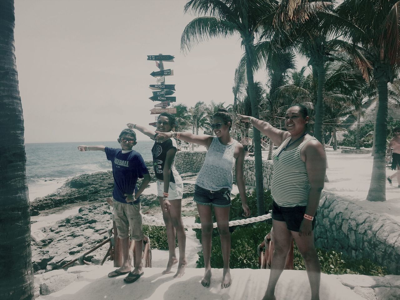 lifestyles, leisure activity, tree, sea, full length, rear view, men, person, casual clothing, water, clear sky, togetherness, beach, palm tree, bonding, sitting, standing