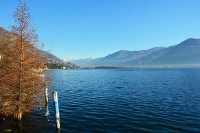 Scenic view of lake against clear blue sky