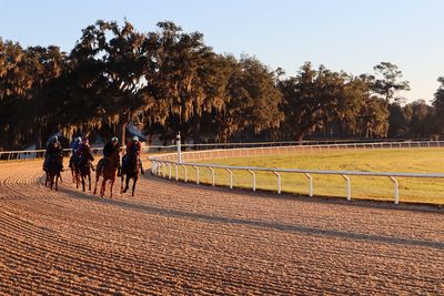 People riding horse on dirt road