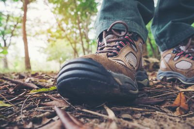 Low section of man wearing shoes on dirty field in forest