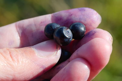 Close-up of hand holding fruit