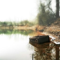 Reflection of trees in lake