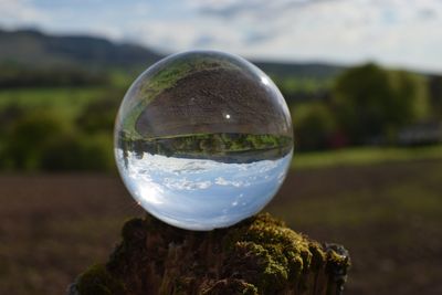 Close-up of crystal ball on glass