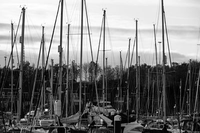 Sailboats moored at harbor against sky