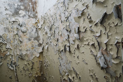 Full frame shot of weathered wall