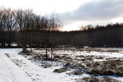 Bare trees on snow covered field against sky