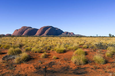 Scenic view of field against clear blue sky