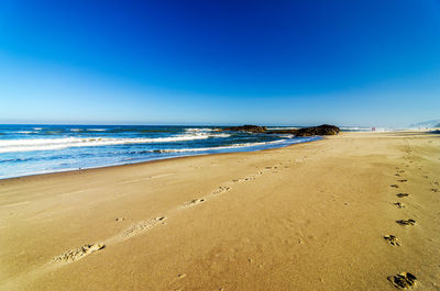Scenic view of beach and sea against clear blue sky