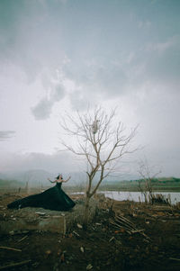 View of birds on land against sky