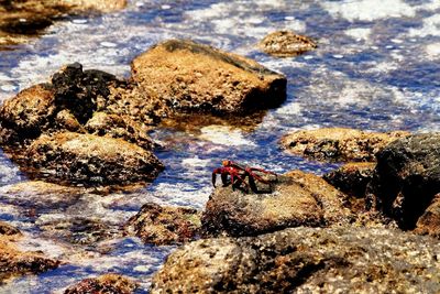 Rocks in sea