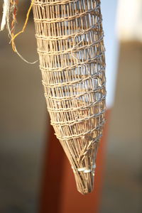 Close-up of dry leaf hanging on plant