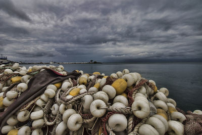 Shells by sea against sky