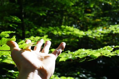 Close-up of man hand