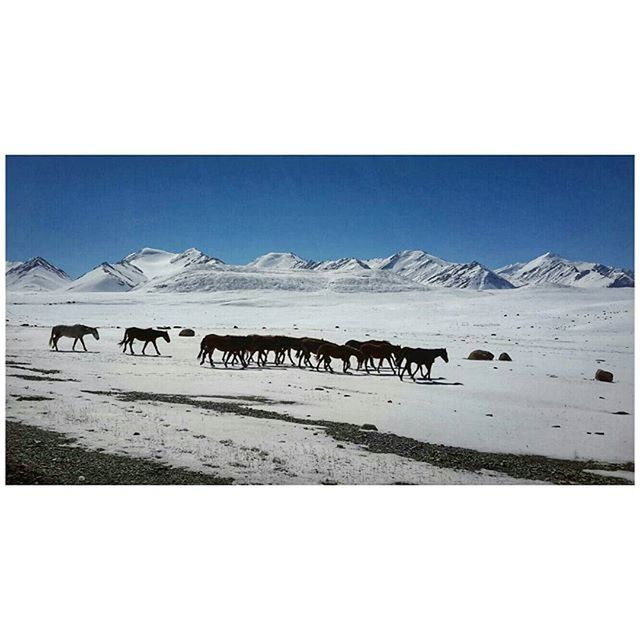 transfer print, mountain, clear sky, mountain range, snow, auto post production filter, winter, landscape, cold temperature, copy space, tranquil scene, tranquility, nature, scenics, transportation, beauty in nature, sky, non-urban scene, day, outdoors