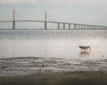 View of bridge over sea against sky