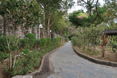 Footpath amidst trees in forest