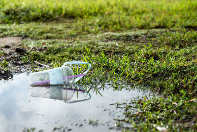 Reflection of plants in puddle on field