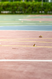 Empty outdoor basketball court with fallen leaves.