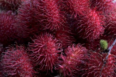 Full frame shot of rambutans