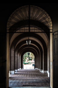 View of arched structure