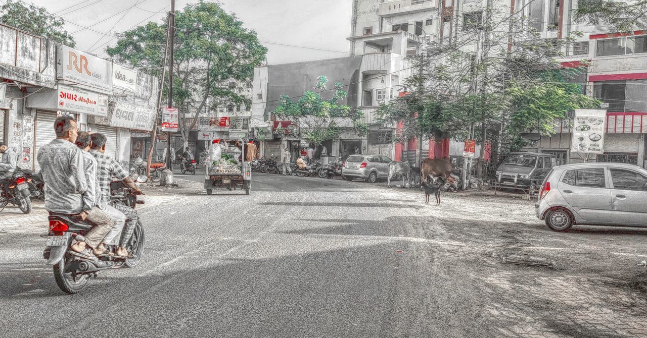 PEOPLE RIDING BICYCLES ON STREET IN CITY