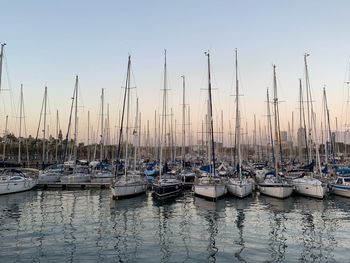 Sailboats moored in harbor