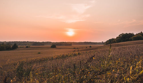 Scenic view of field against sky during sunset