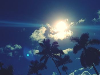 Low angle view of silhouette trees against sky