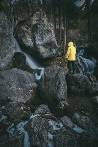 Rear view of person on rocks in forest