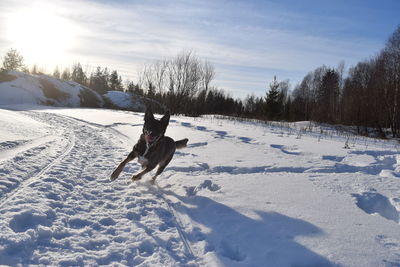 Dog running on snow covered landscape against sky