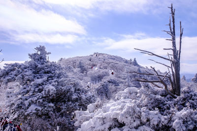 Snow covered mountain against sky