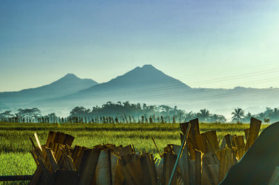 Mount andong, telomoyo view