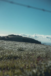 Surface level of land against sky