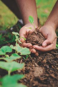 Midsection of person holding plant on field