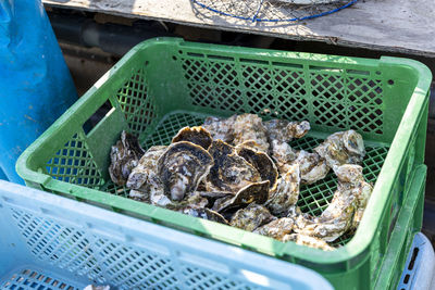 High angle view of food for sale