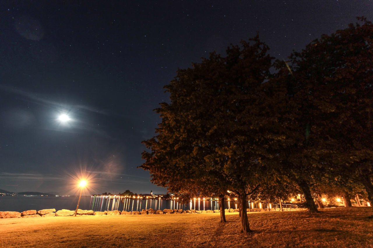 tree, night, tranquil scene, tranquility, illuminated, scenics, nature, solitude, beauty in nature, sky, dark, field, star field, growth, outdoors, park, tourism, surface level, garden, remote, distant, vacations, no people, non-urban scene