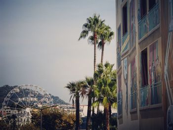 Palm trees against sky