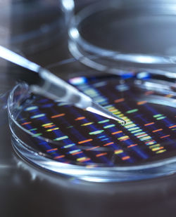 Pipetting sample into tray for dna testing with result in background