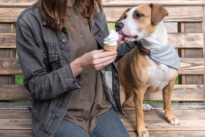 Midsection of woman feeding ice cream to dog