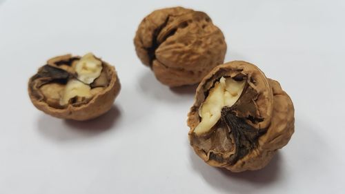 High angle view of cookies against white background