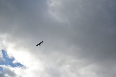 Low angle view of airplane flying in sky