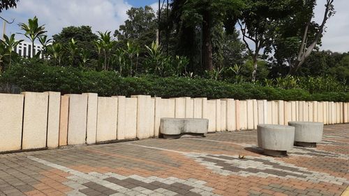 Footpath by palm trees in park