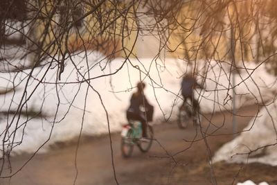 Man and bicycle on bare tree