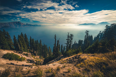 Scenic view of landscape against sky