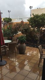 Potted plants on table against built structures