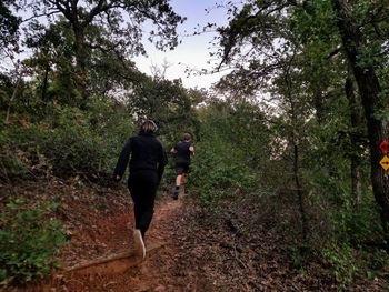 Rear view of people running amidst plants in forest