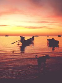 Scenic view of sea at sunset