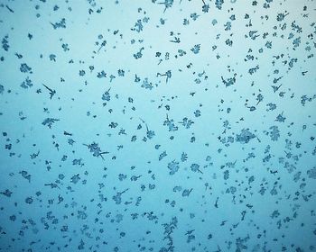 Low angle view of birds flying in sky